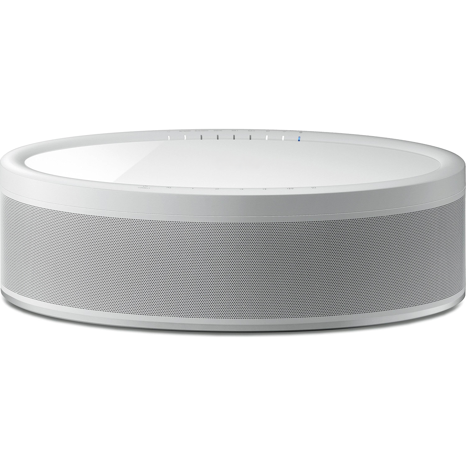Oval Multi-Room Streaming Audio Unit, Dual-Mode Wi-Fi And Bluetooth Powered Speaker With Wired Connection Interfaces