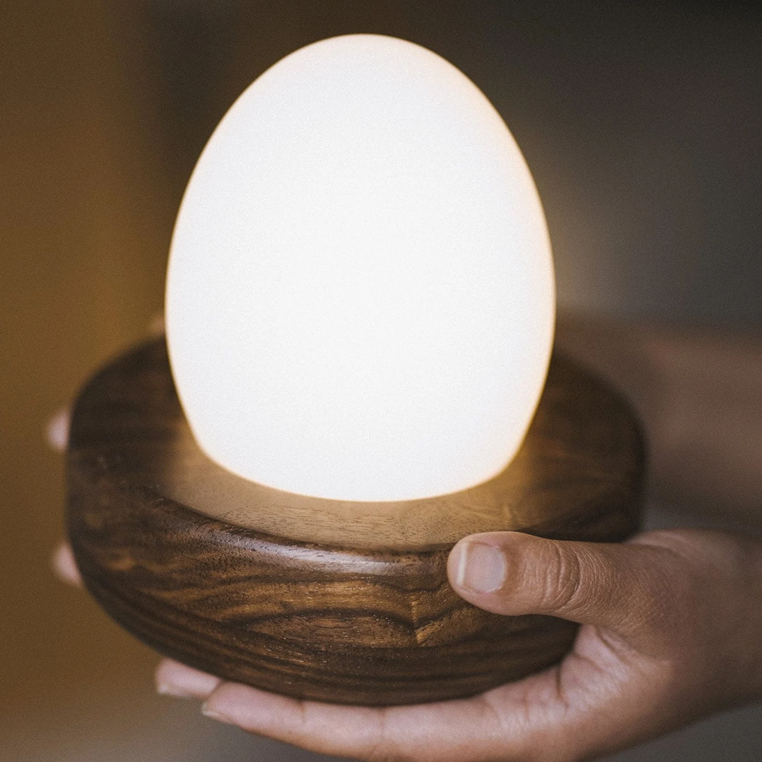 Ovoid Touch Activated Portable Night Luminaire, Rechargeable Dimmable Multi-Color Ambient Lamp For Indoor Rest Spaces